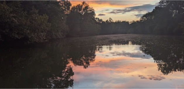 local creek water